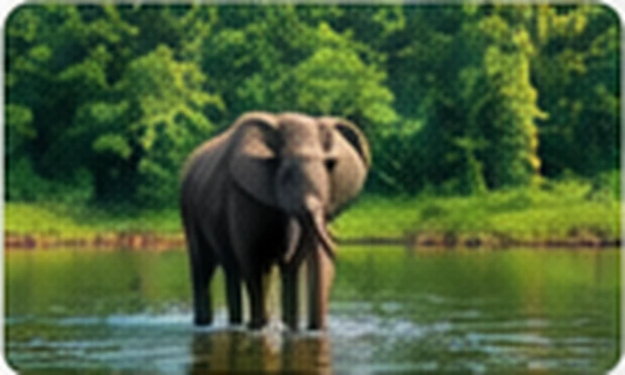 Munnar to Thekkady (Approx. 92 KM) Kerala tour itinerary